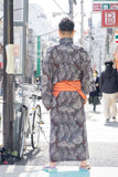 C08 Japanese umbrella
