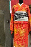乱菊赤ゴールド chrysanthemums red gold