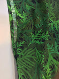 シダ_ pteridophytes