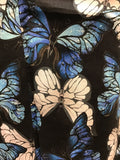 L14 ブルーバタフライ Blue butterfly