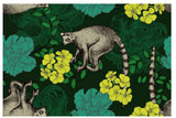lemur　ワオキツネザル